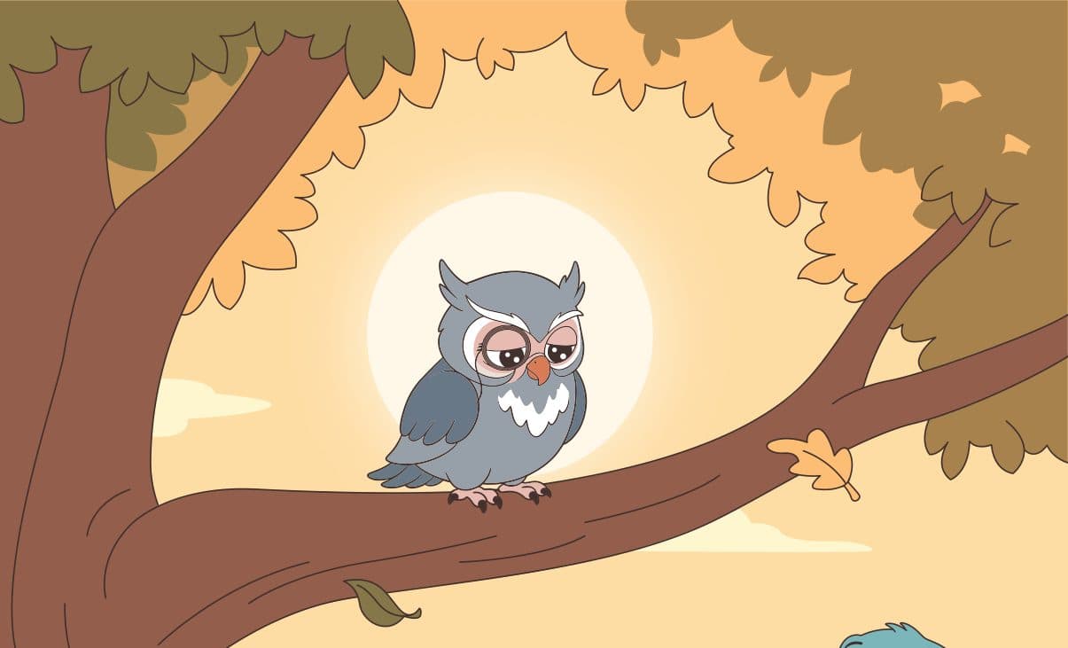 Buó, el búho gris, posado en la rama del árbol viejo a la hora dorada.